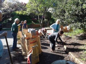 Read more about the article Foxhall Garden Club Lower Q Leaf Clean-Up (from April 27)