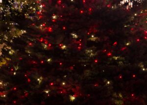 Read more about the article Christmas Lights